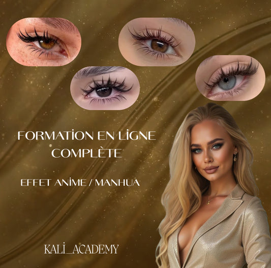 FORMATION EN LIGNE: TECHNIQUE ANIME/MANHUA